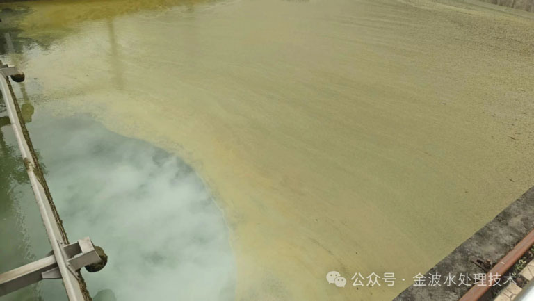 夏季低浊度水2.jpg