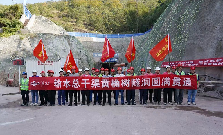 重庆市藻渡水库黄桷树1.jpg