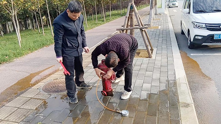 镇平1.jpg
