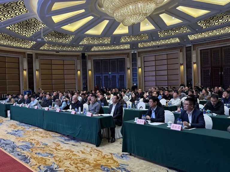 山东11.jpg
