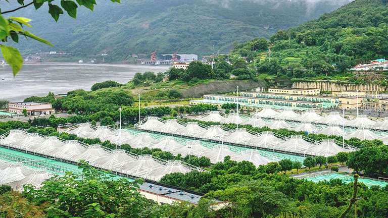 当好长江碧水“守门人”1.jpg