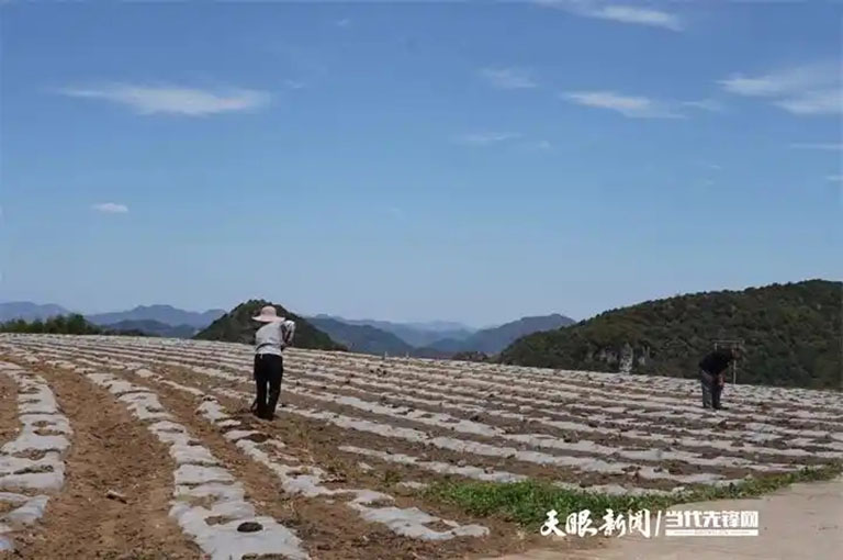 毕节1.jpg