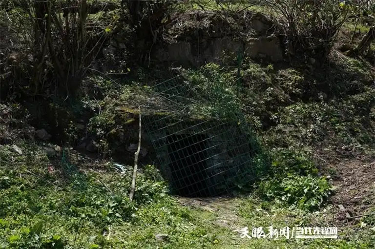 毕节4.jpg