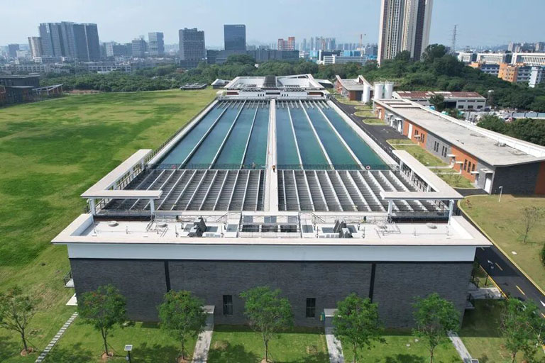 深圳罗田1.jpg