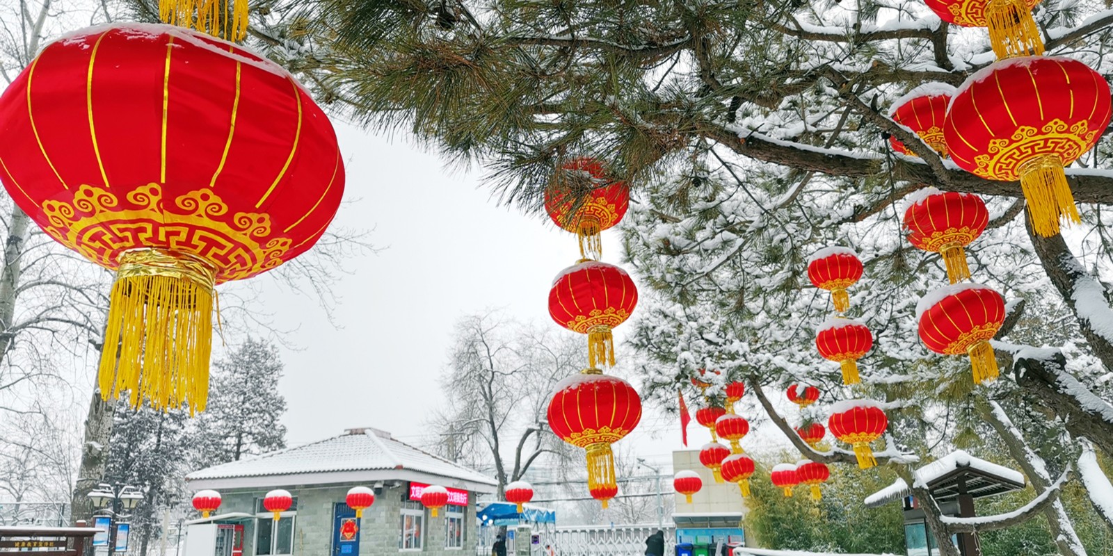 瑞雪兆丰年-张林-北京自来水集团.jpg