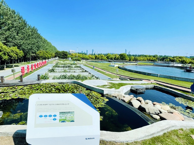 4-1南京   水务集团江心洲污水处理厂生态型人工湿地水质净化示范工程  杭行 摄.jpg