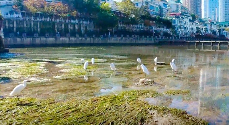 贵阳1.jpg
