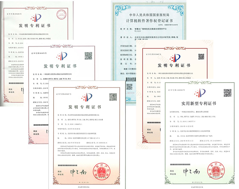 1-北京    项目获多项国内专利和软件著作权授权(1).jpg