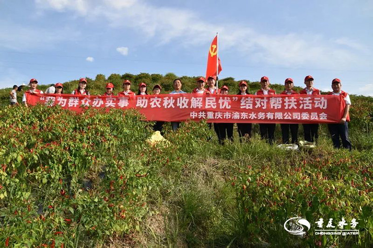 渝东1.jpg