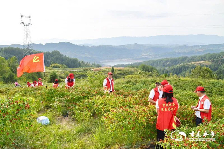 渝东3.jpg