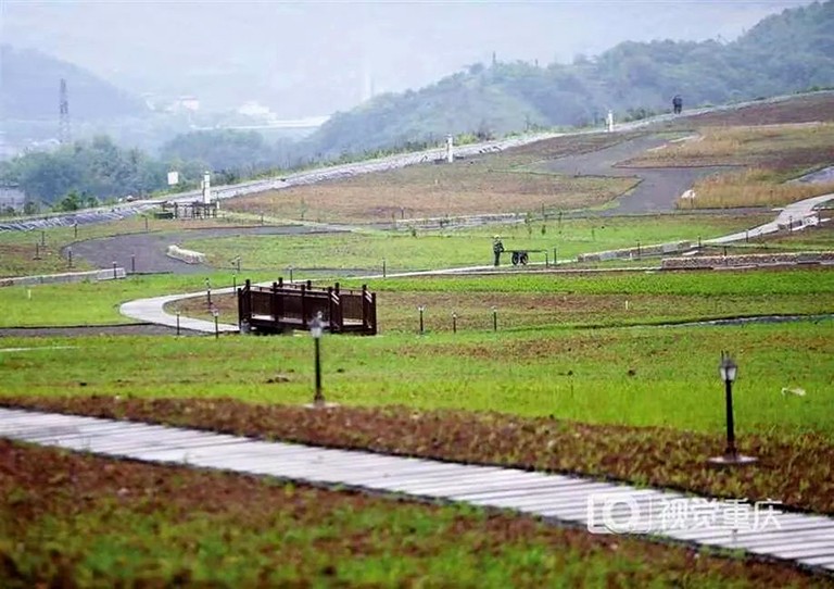 1-重庆  生态保护3.jpg