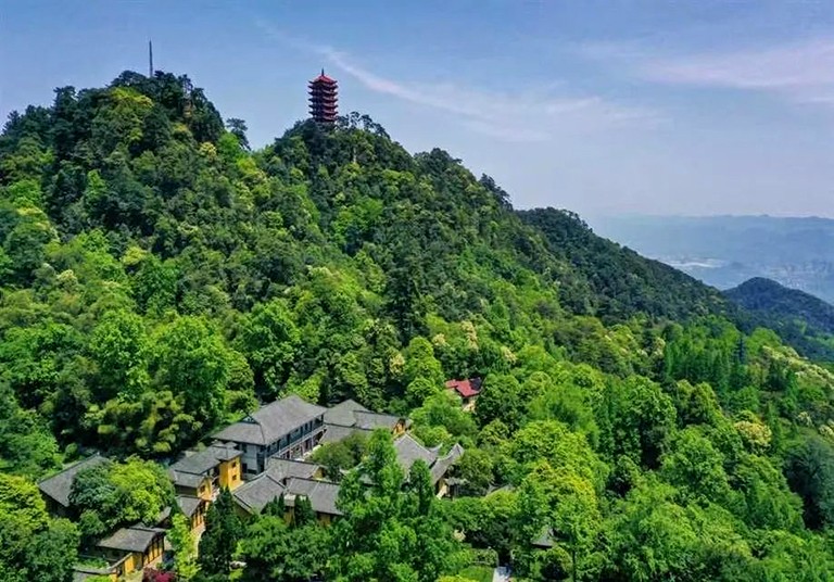 1-重庆  生态保护4.jpg