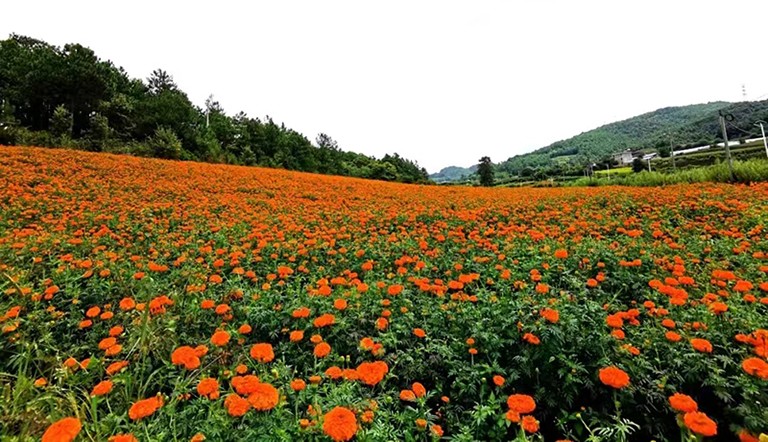 1-昆明清源1.jpg