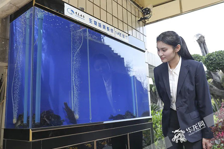 重庆智慧水厂-2.jpg