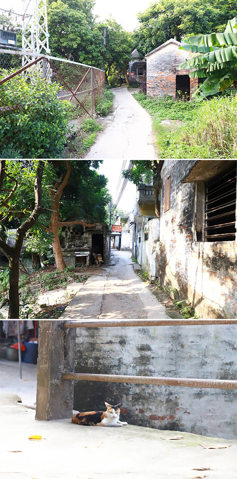 顺德-3.jpg