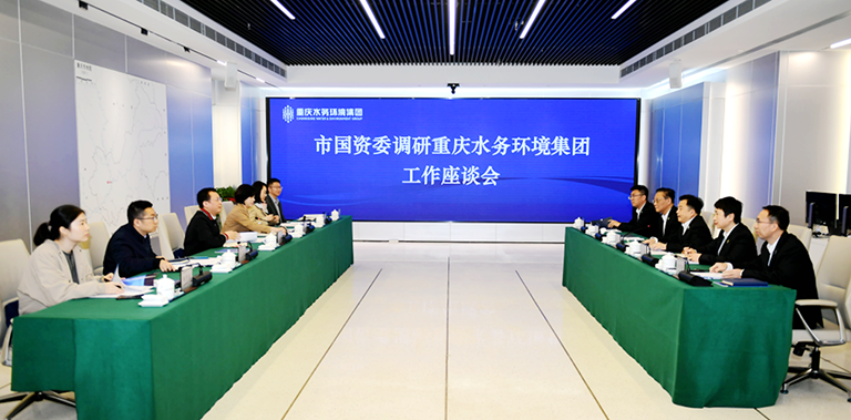 市国资委调研.png