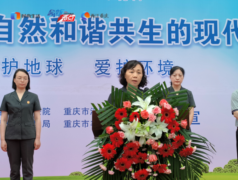 丰都排水-2.png