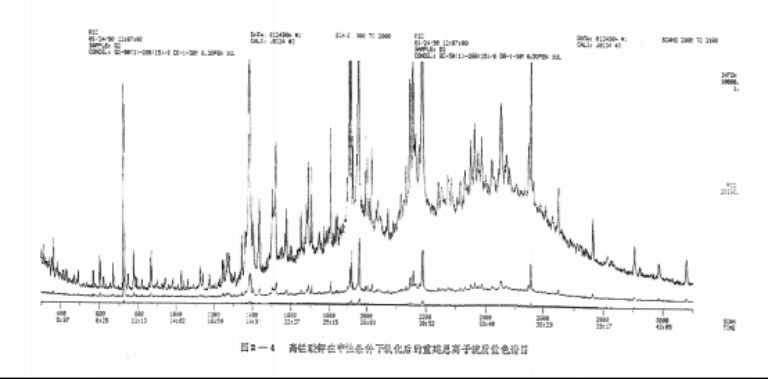 李圭白13.png