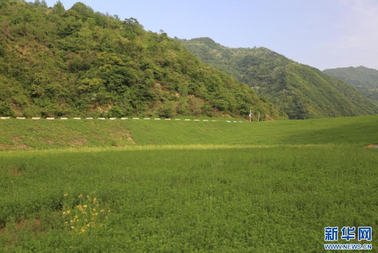 引汉11.jpg