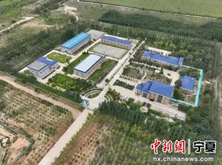 宁夏红寺堡.jpg