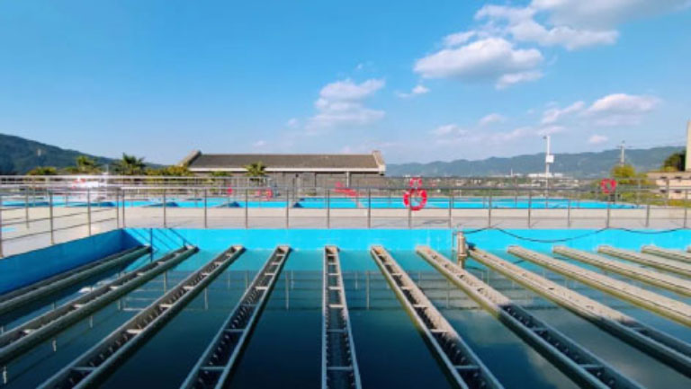 新大江1.jpg