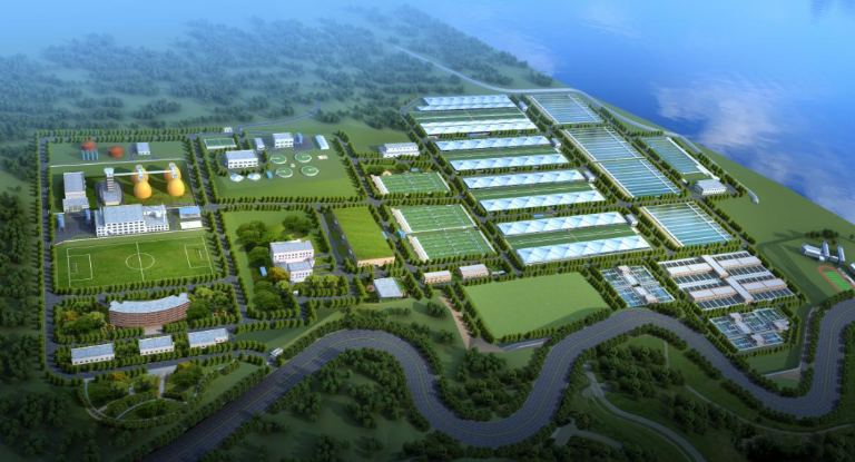 重庆排水鸡冠石1.png