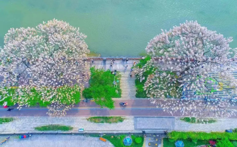 成都锦江.jpg