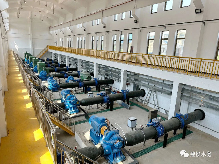 投身中国式现代化建设沧州2.jpg