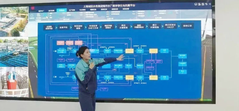 沪滇3.jpg