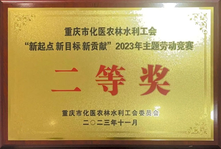 水环劳动竞赛获奖.jpg