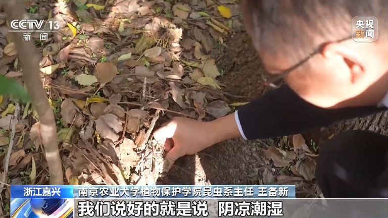 长三角1.jpg