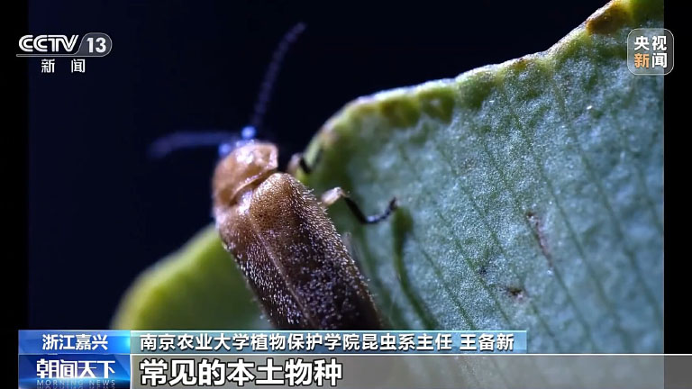 长三角2.jpg