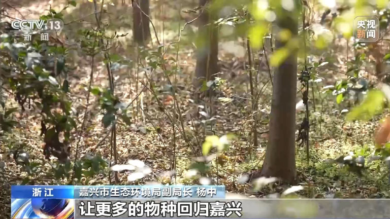 长三角4.jpg