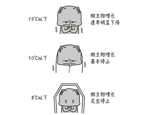 哈尔滨北方冰雪1.jpg