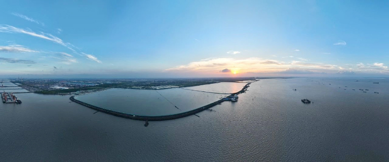 上海陈行1.jpg