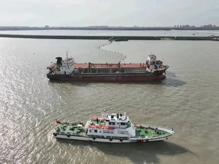 上海陈行3.jpg
