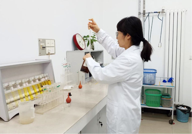 郑州春节2.jpg
