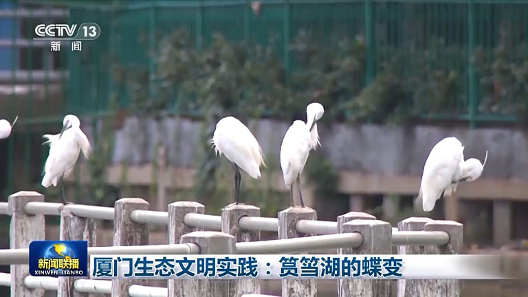 厦门7.jpeg