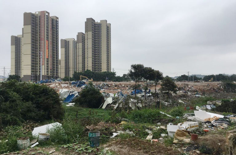 生态环境部4.jpg