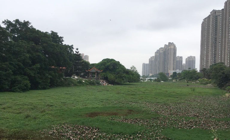生态环境部5.jpg