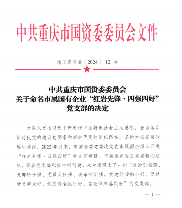 重庆水环红岩先锋1.png