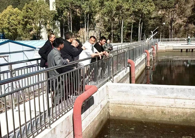 临翔2.jpg