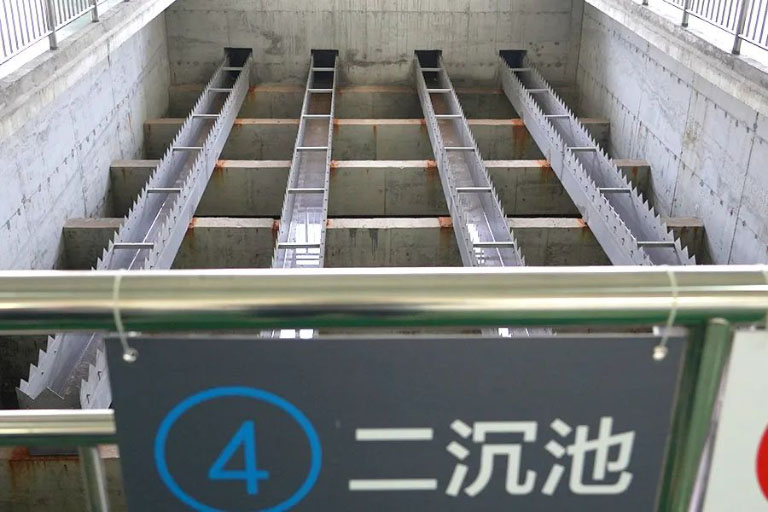 金凤4.jpg