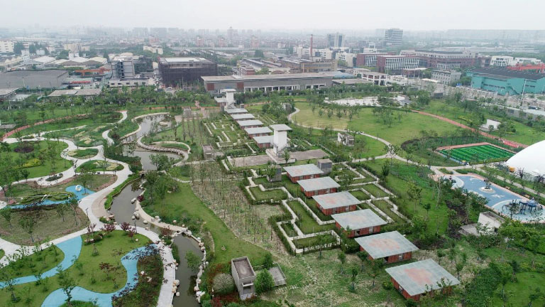 上海白龙5.jpg
