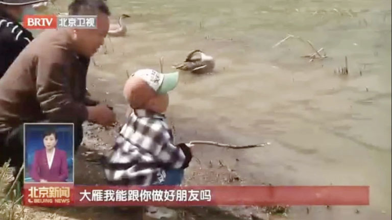 北排2.jpg