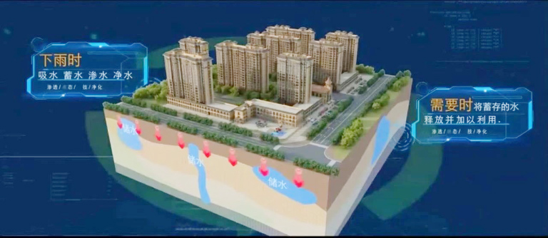 上海4.jpg