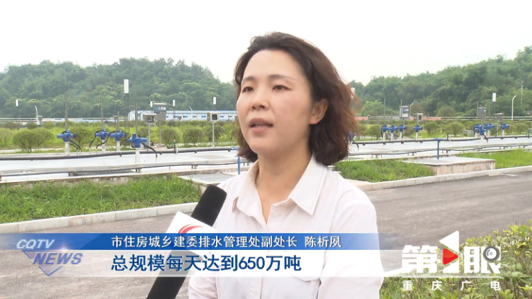 重庆污水处理率6.png