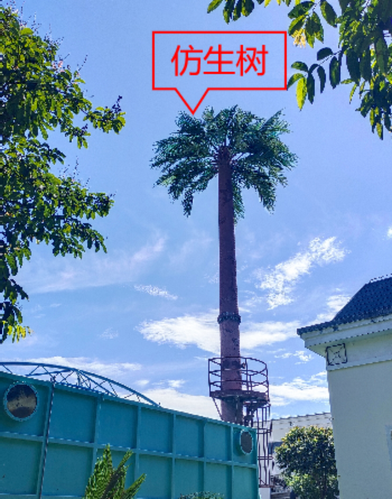 厦门16.png