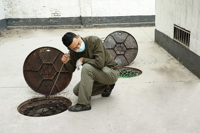 保定2.jpg