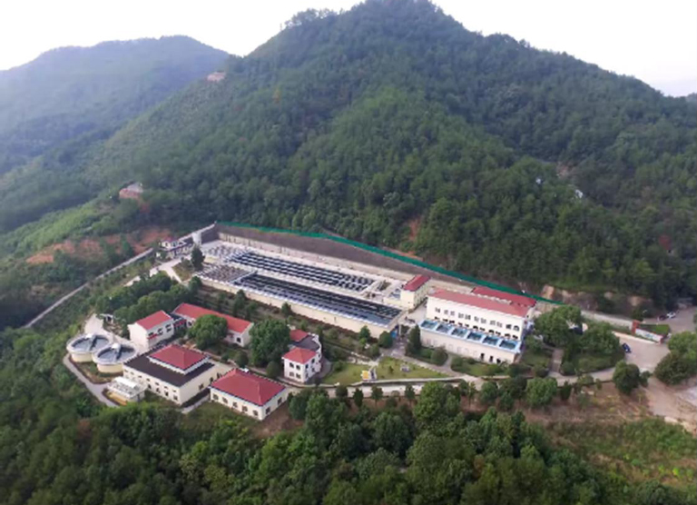 武义1.jpg